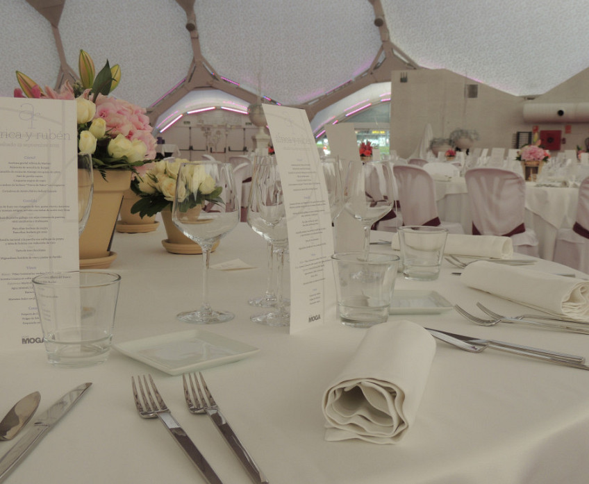 Moga Events_11