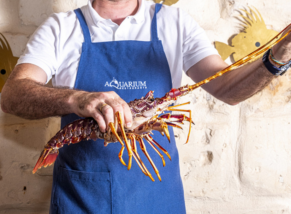 Restaurante Aquarium Port Ciutadella_87