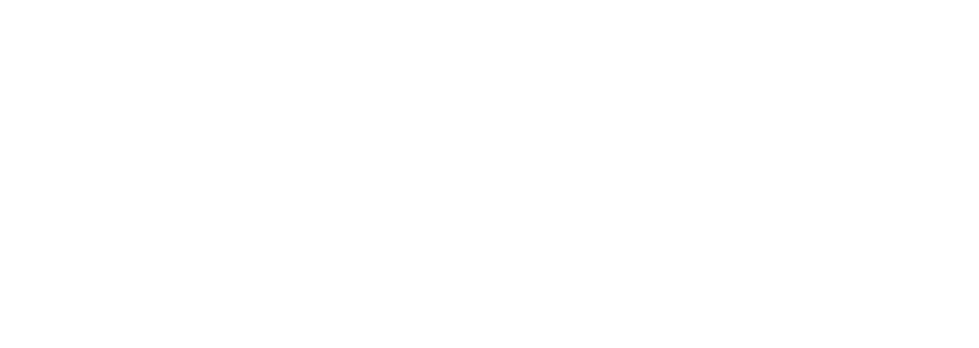 Fiesta